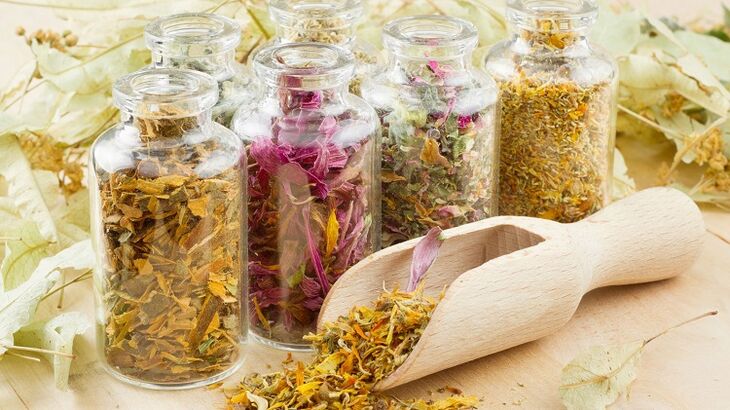 herbs for cleansing the body of pests
