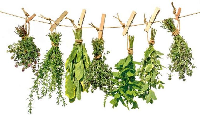 Therapeutic herbs with antiparasitic properties
