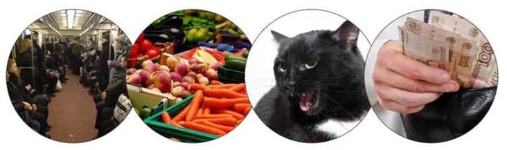 How do pests enter the body
