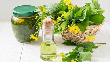 celandine tincture to remove parasites from the body