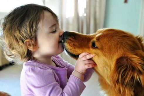 worm infection from dog